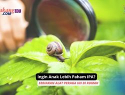 Ingin Anak Lebih Paham IPA? Sediakan Alat Peraga Ini di Rumah