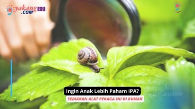 Ingin Anak Lebih Paham IPA? Sediakan Alat Peraga Ini di Rumah