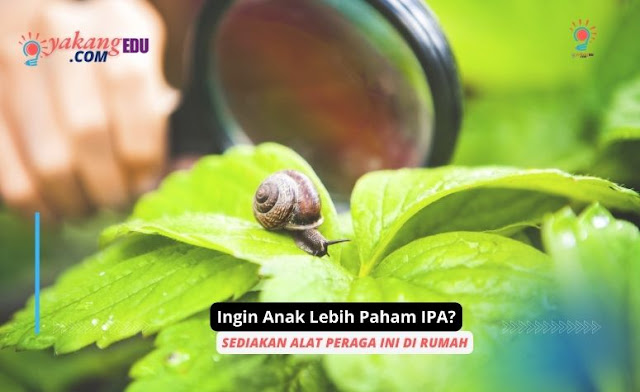 Ingin Anak Lebih Paham IPA? Sediakan Alat Peraga Ini di Rumah